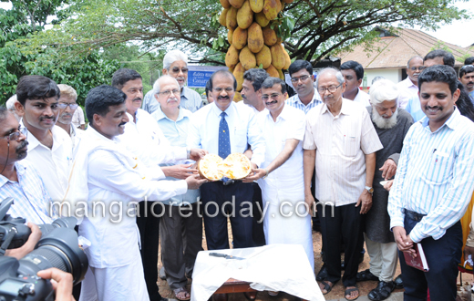Jackfruit fest at pilikula